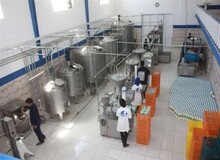 شیر و ماست‌های کارخانه ای روغن پالم دارند؟