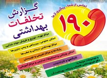 رئیس سامانه بهداشت190: 11 تن موادغذایی فاسد در مسیر راهپیمایی حرم رضوی معدوم شد