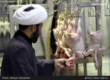 روحانیون اعزامی به ترکیه برای نظارت بر ذبح شرعی مرغ بیش از ۷۰ میلیون تومان در ماه حقوق می گیرند/ سند