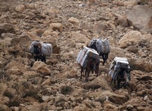 مرگ 2 کولبر در برف و کولاک/ نوجوان 14 ساله مفقود شد