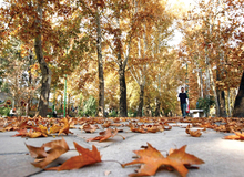 منتظر پاییز خنک نباشید